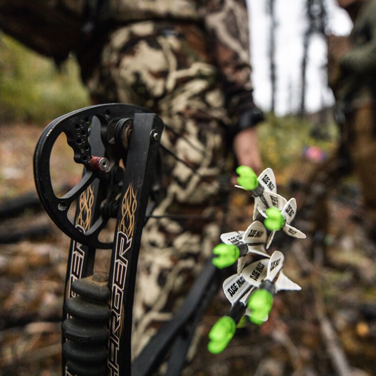 Archery Elk